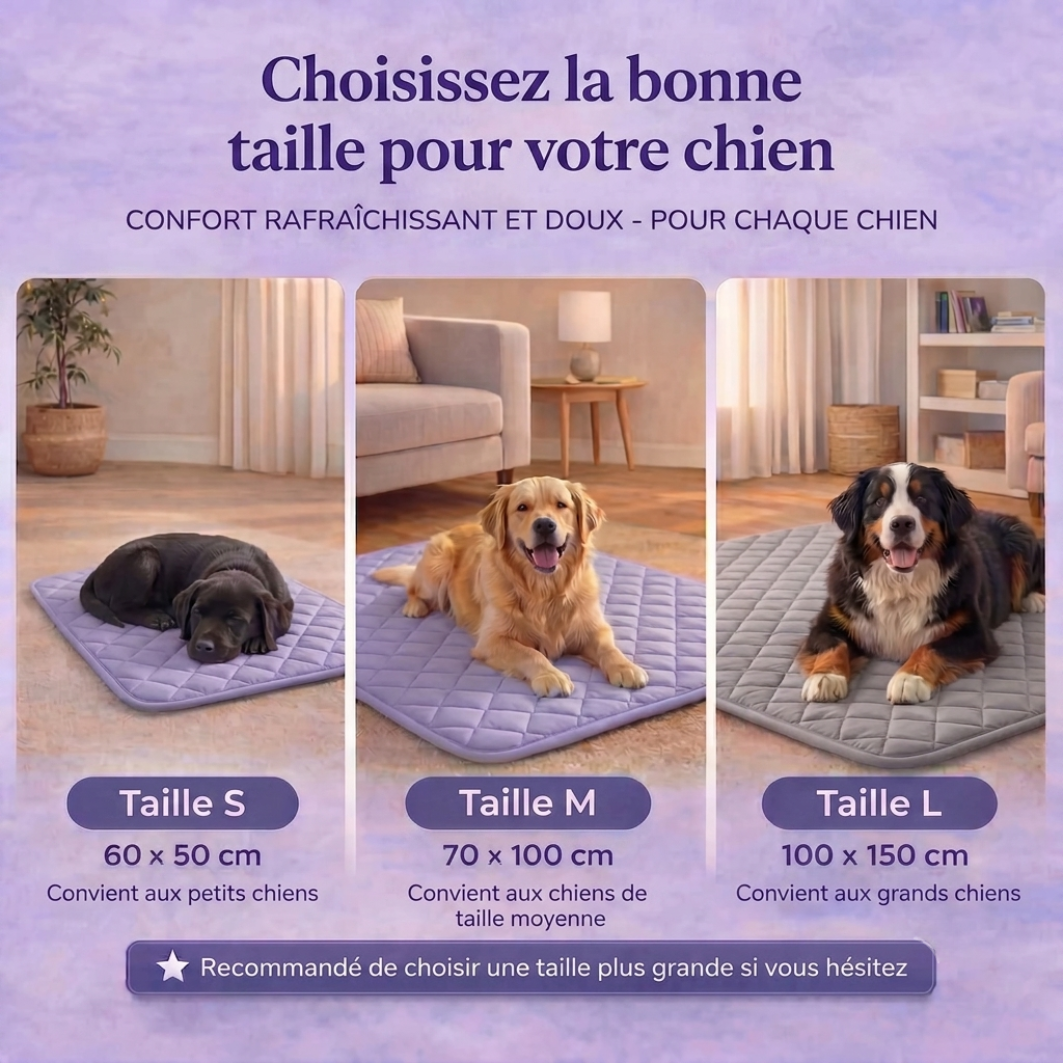 Votre chien surchauffe plus vite que vous ne le pensez