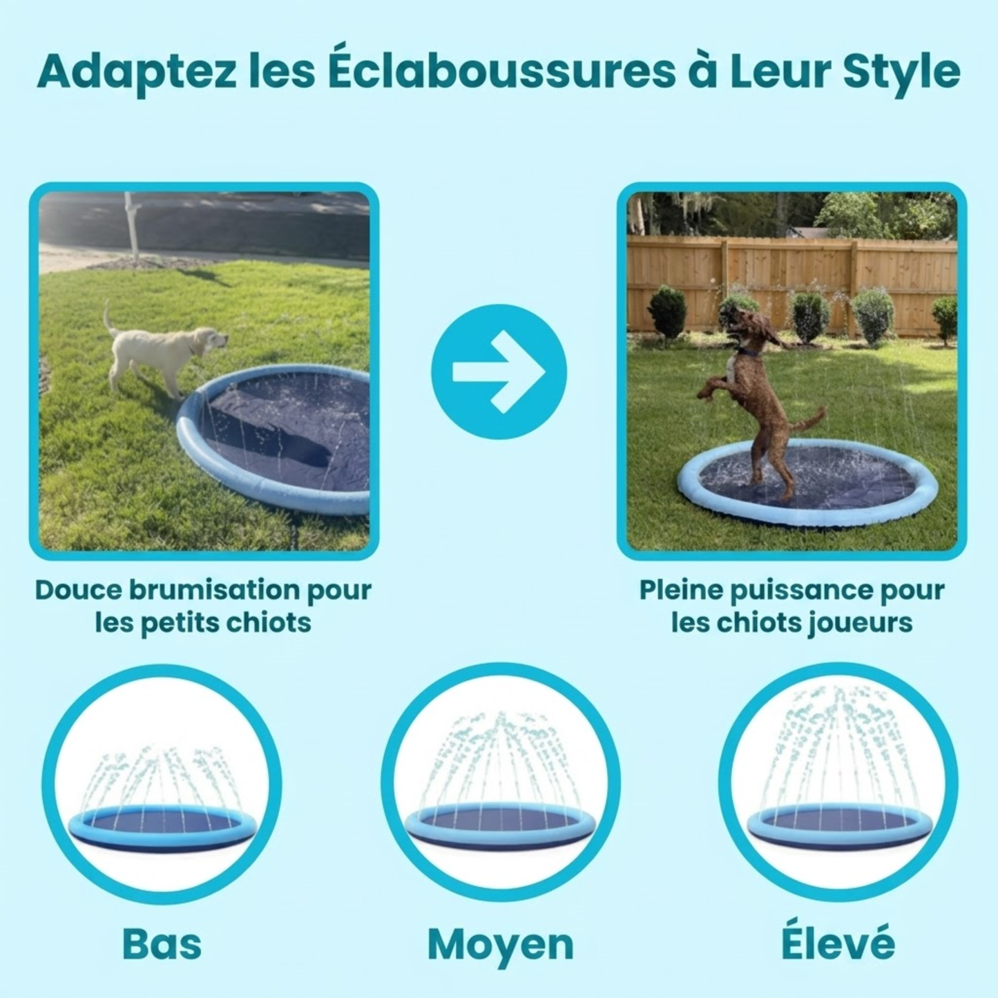 Aire de jeux aquatiques Pup Paradise™